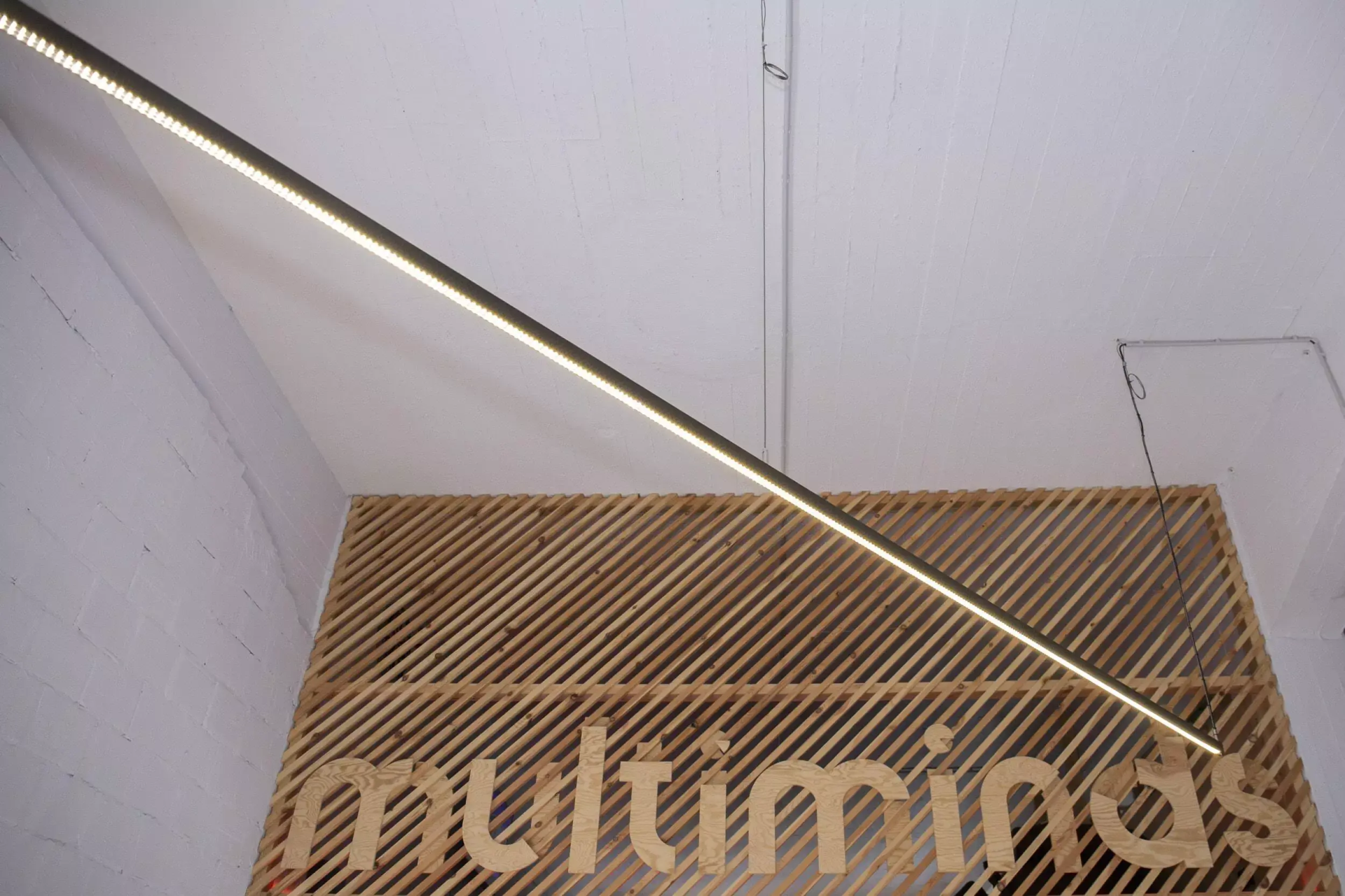 logo of multiminds in wooden letters